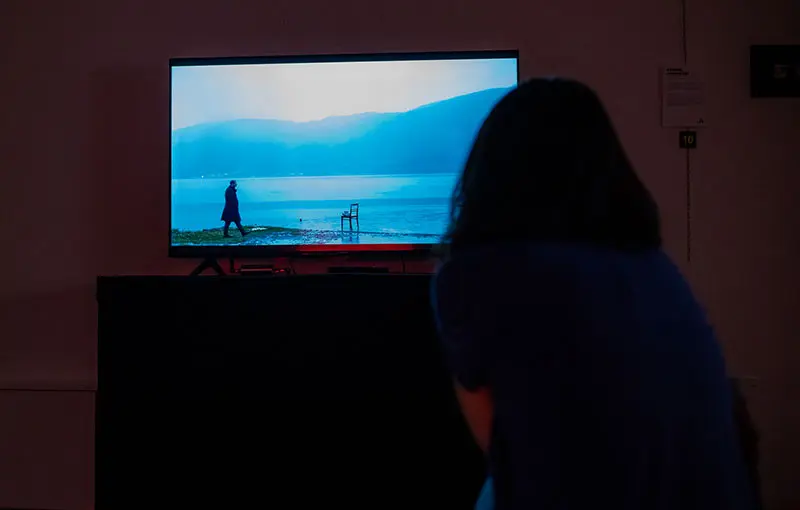 Gabriele Marchina - Desenzano Film Fest